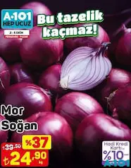 MOR SOĞAN KG MOR SOĞAN KG